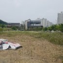 으뜸초등학교건너편 네이버블로그