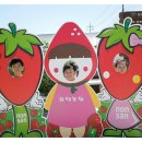 유영농장 이미지