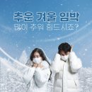 라이즈원 이미지