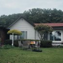 배나무실의 아침 이미지