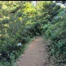 태하 모노레일 이미지