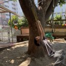 5월 2째주 희수마당에서 놀아요. 이미지