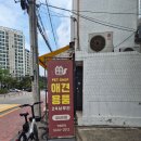 견생냥품 | 견생냥품 서울답십리점 애견용품 24시간 무인 이용 후기