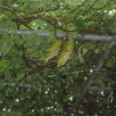 미당초등학교 이미지