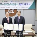 가나제주여행사 이미지