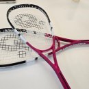 영클럽 | 수유 스쿼시 맛집! 영스쿼시 클럽 내돈내산 후기!!