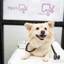 성남축산 이미지