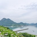 전남 완도 목포 무안 영광 고흥 여수 순천 가볼만한곳,미식 여행 코스 추천 이미지