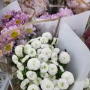 북강릉농협하나로마트 연곡점 이미지