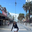 송해나 카카오 검색결과