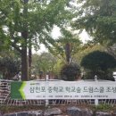 생명나무숲 이미지