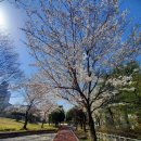 마재근린공원 이미지