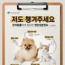 오포동물약국 이미지