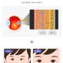 레베르