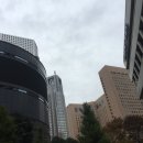 DAY 4. 하라주쿠 신주쿠 시부야