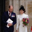 도트 비 이미지