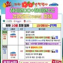 하이원트래블 이미지