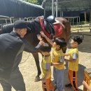 남초병설유치원 이미지