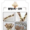 똘멍이네 이미지