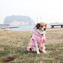 성산읍 한도교 이미지