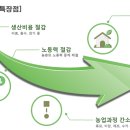 화이트환경주 이미지