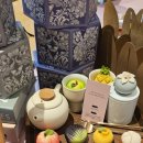 월간화과점 이미지