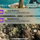 사파동336 | 2주 입실 기록 (6) 말해보카 | 식욕 폭발 | 신생아 비오플 | 아벨라 스파 산후마사지 후기 | 퇴실 교육