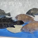 파라다이스유치원-2구간 | 오목천동횟집 바다킹 오목천점 가격 위치 영업시간