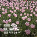 아산 피나클랜드 튤립축제 후기(봄꽃축제 일정, 주차장, 반려동물 입장)