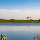 링스하우스 이미지