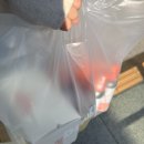 DSLR 사진촬영&포토샵 (B) | W8. 부산 김해 웨딩 스튜디오: 스튜디오 언 촬영 후기 (헤쎄드플라라, 스드메 토탈 진행)