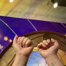 삼성동-26 | [서울/삼성동] 코엑스 위키드 포굿 팝업 후기 현장 예약 가능