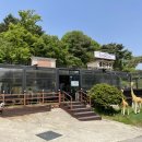 화덕고등어&CAFE 이미지