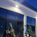 한미유치원 | 왜관 하이스트 글램핑장 여행후기(feat 보드게임 맛집)