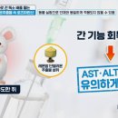 단델리온 이미지