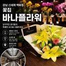 원플라워 - 강남구 광평로 260 | 강남 신세계백화점 꽃집 바나플라워 | 4만원 꽃다발 후기
