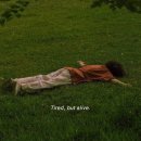 영차영차 이미지