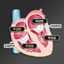 괴정동물병원