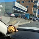 블루핸즈 사림점 이미지