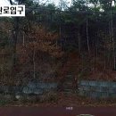 대천일반 이미지