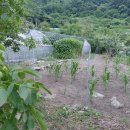 무제 (0266) 이미지