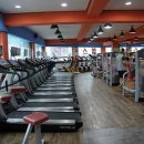 초콜릿 휘트니스 이미지