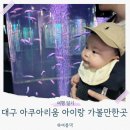 미도파백화점환승역 | 대구 아쿠아리움 할인 공연 시간표 정보 아기랑 신세계백화점 가볼만한곳 후기