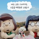 가든카부분정비 | 제주 구좌 스누피가든 수요일 애견동반 구경후기