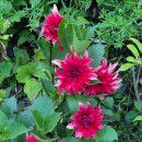 무무산방 이미지