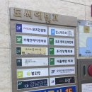 강남역 레터링 케이크 추천 크리미숑 내돈내산 후기