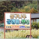글램핑로망 이미지