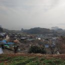 새남해농협금음주유소 이미지