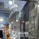 제주돈먹젠