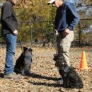 서초중앙로8길 89-2 이미지